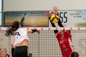 SC Potsdam Volleyball