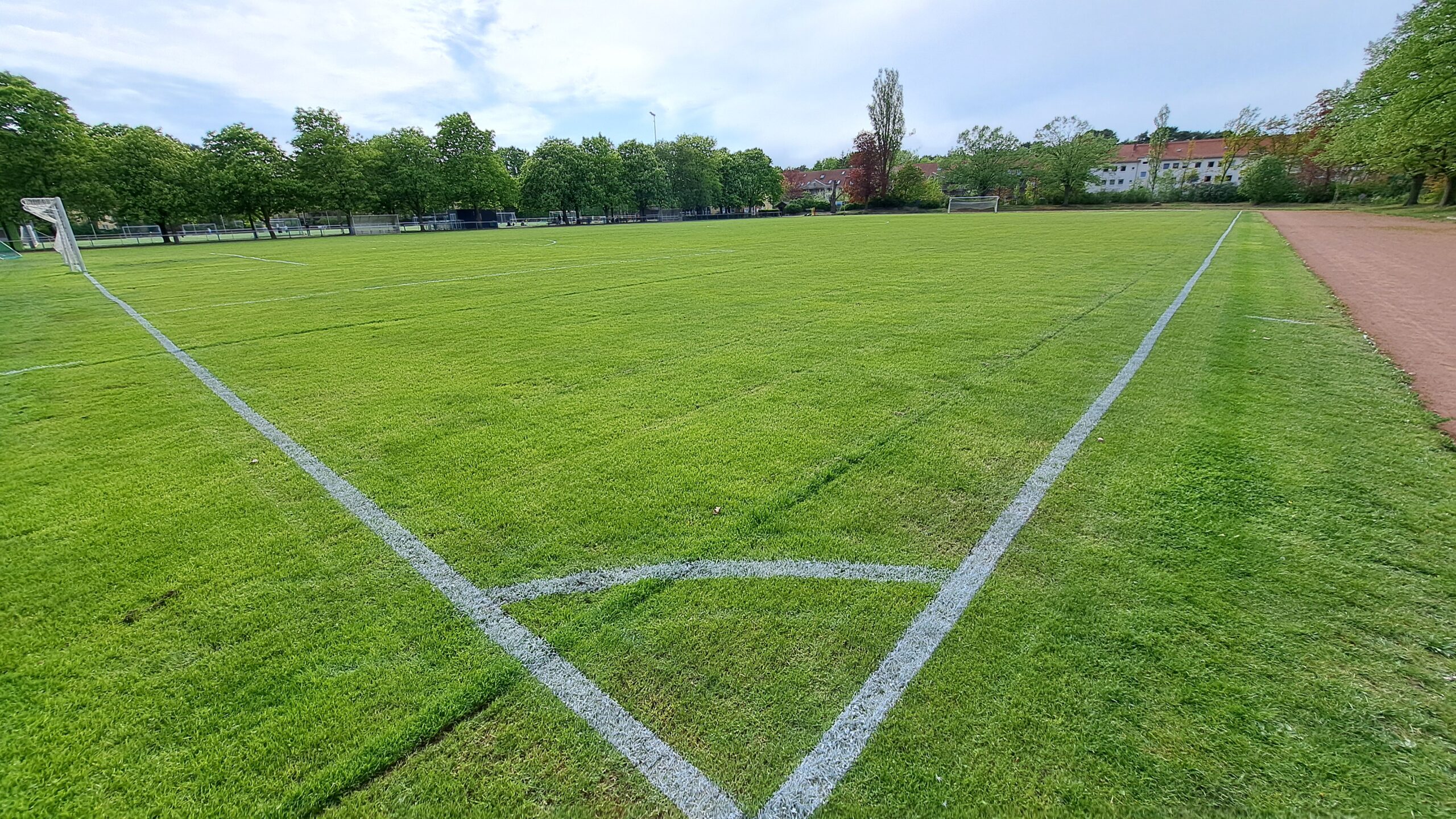 Rasenplatz Sandscholle