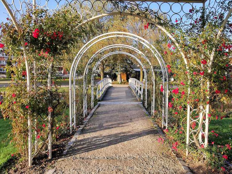 Auf den Spuren der Rosenkavaliere in der Stadt Uetersen