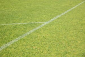 Sportentwicklungsplanung für die Stadt Horn-Bad Meinberg